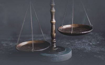 Do Insurance Companies Have “Undue Influence’ Over Government and Policy?